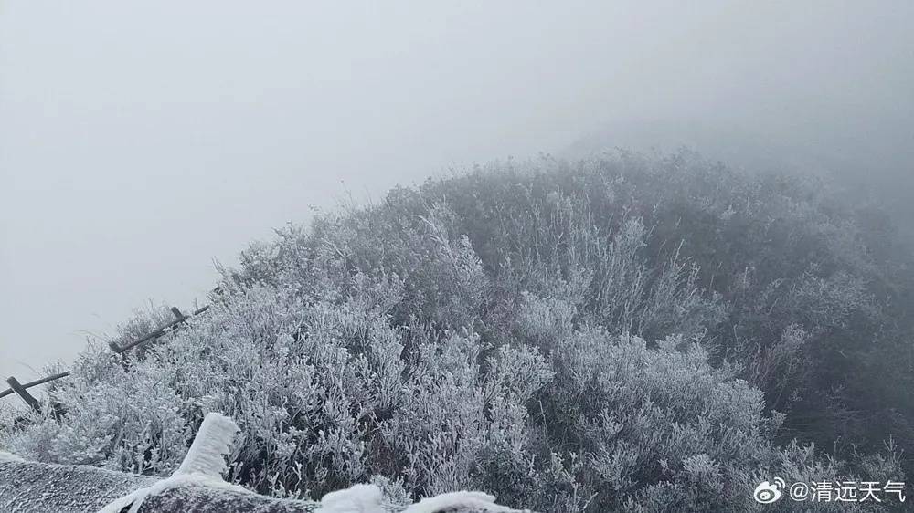 怎么申请皇冠信用盘_冻到结冰怎么申请皇冠信用盘！或许你度过了广州今年下半年以来最冷早晨……